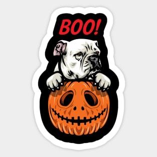 Halloween Pumpkin American Bulldog Sticker